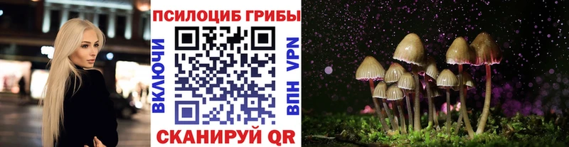 как найти наркотики Зеленокумск Галлюциногенные грибы мицелий